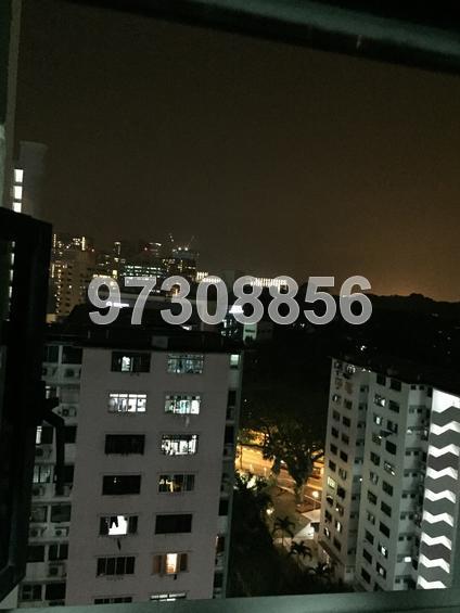 Blk 169 Stirling Road (Queenstown), HDB 3 Rooms #134512582